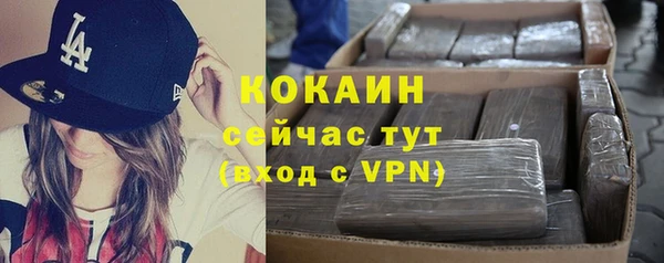 прущий лед Алзамай