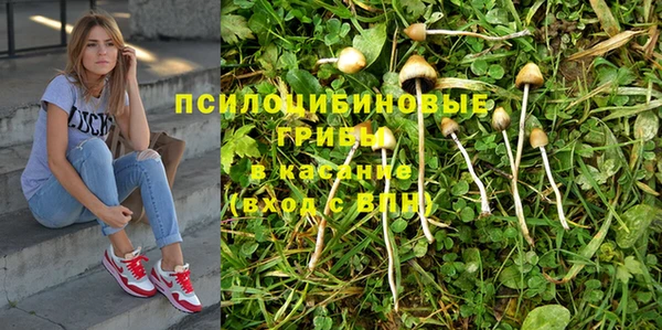 героин Алексин