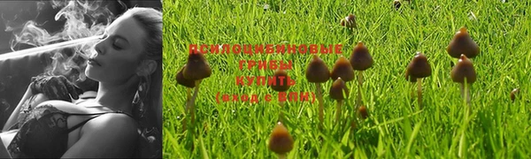 мяу мяу кристалл Снежинск