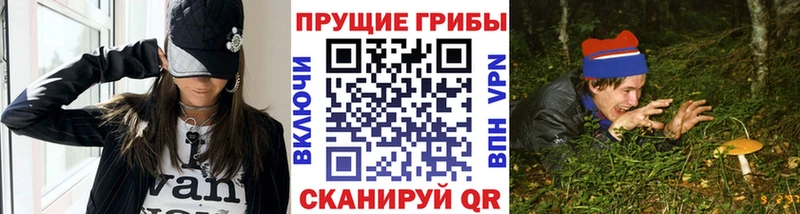 Псилоцибиновые грибы Cubensis  Грязовец 